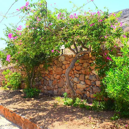 Asteras Διαμέρισμα *